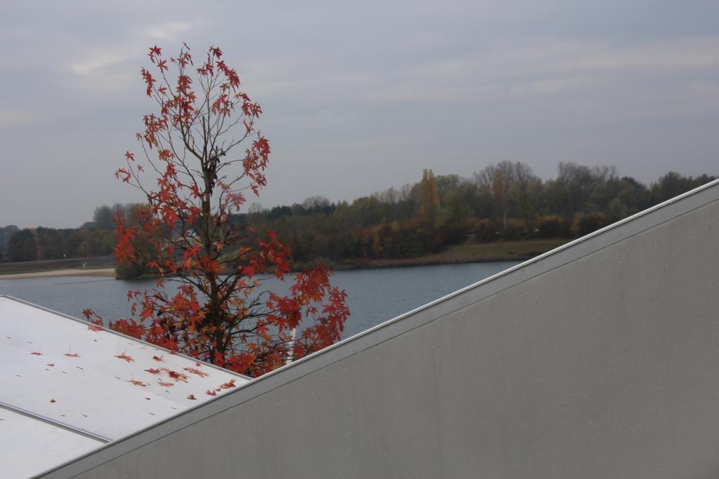 Sailcenter Limburg Hostel Kinrooi Exterior photo